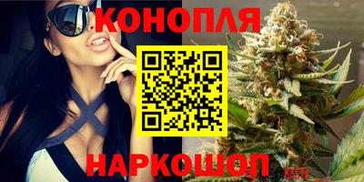 круглые Тулун