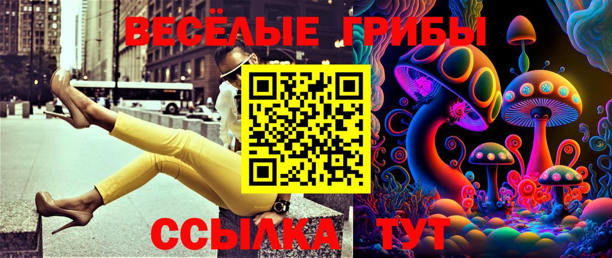 Псилоцибиновые грибы мухоморы Осинники