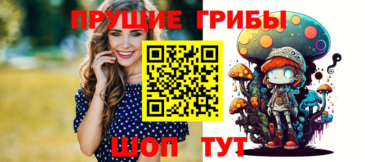 Псилоцибиновые грибы прущие грибы  Вход с VPN  Галлюциногенные грибы прущие грибы  Осинники 